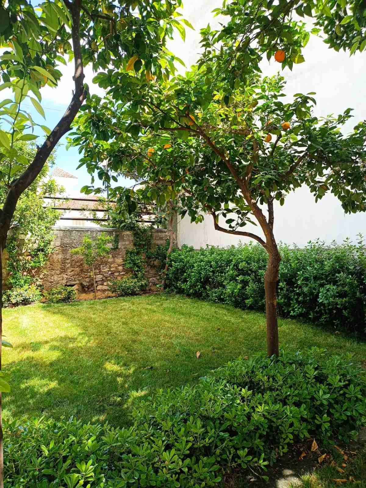 Betty'S Garden House Villa Néa Ankhíalos Kültér fotó