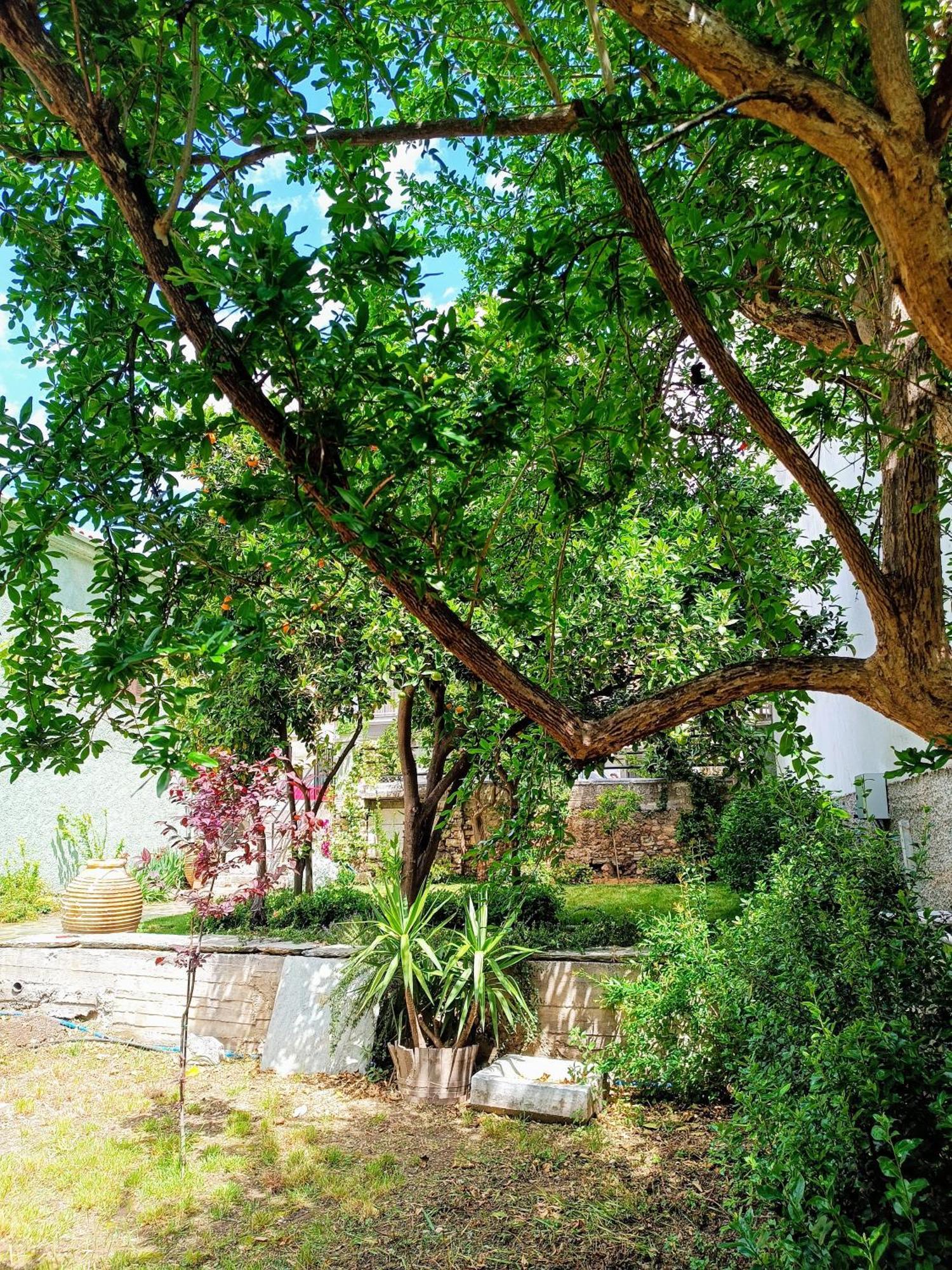 Betty'S Garden House Villa Néa Ankhíalos Szoba fotó